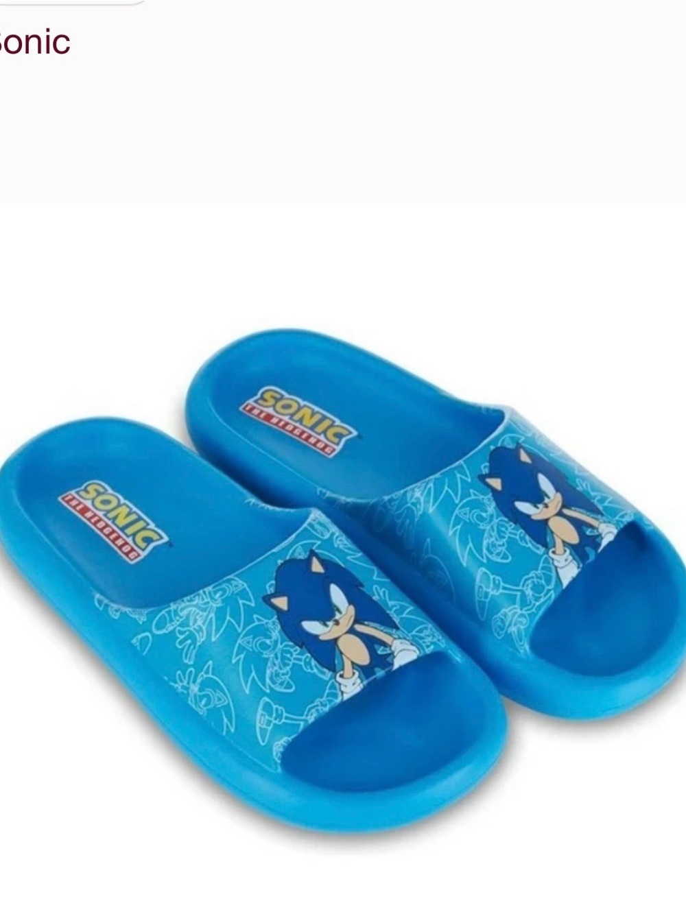 Sonic  Blue men’s Slide Sandals